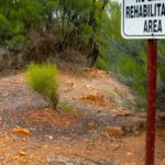 Rehabilitation of Mined Lands