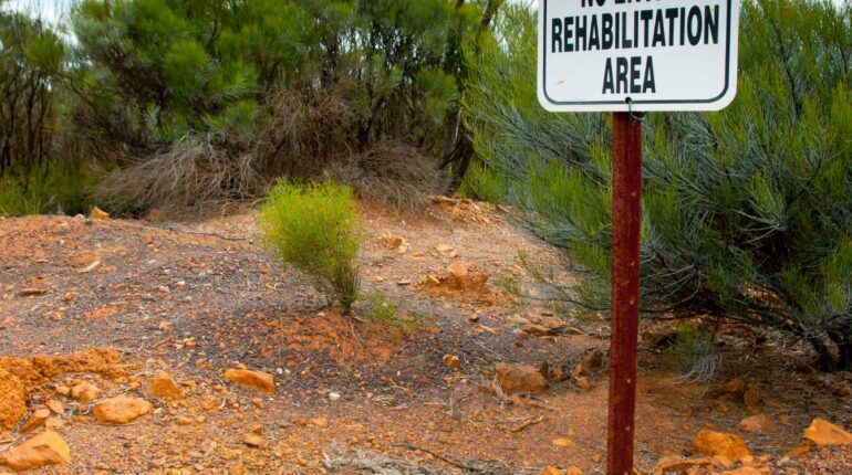 Rehabilitation of Mined Lands