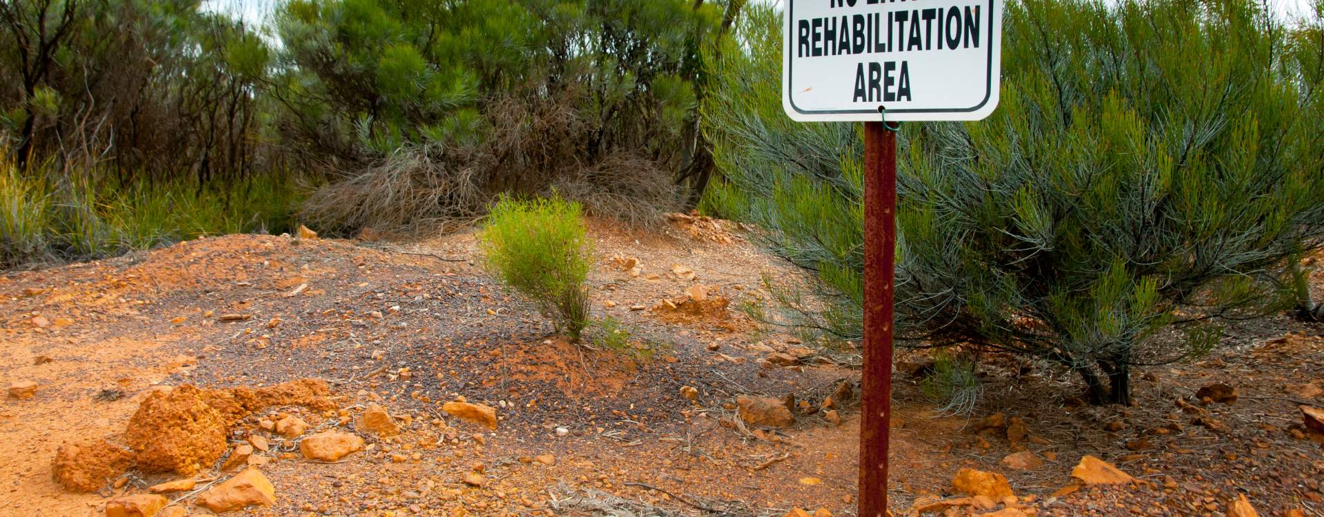 Rehabilitation of Mined Lands